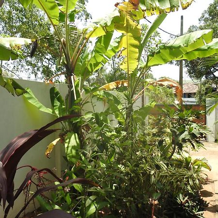 Alleppey Beach Garden Alappuzha Exterior photo