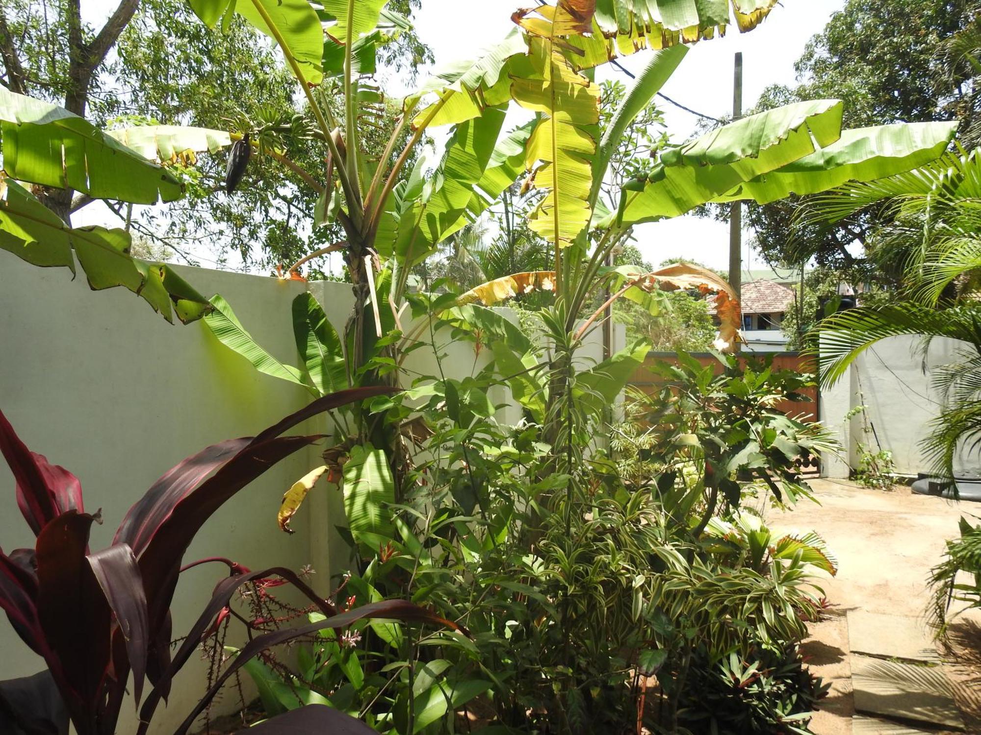 Alleppey Beach Garden Alappuzha Exterior photo