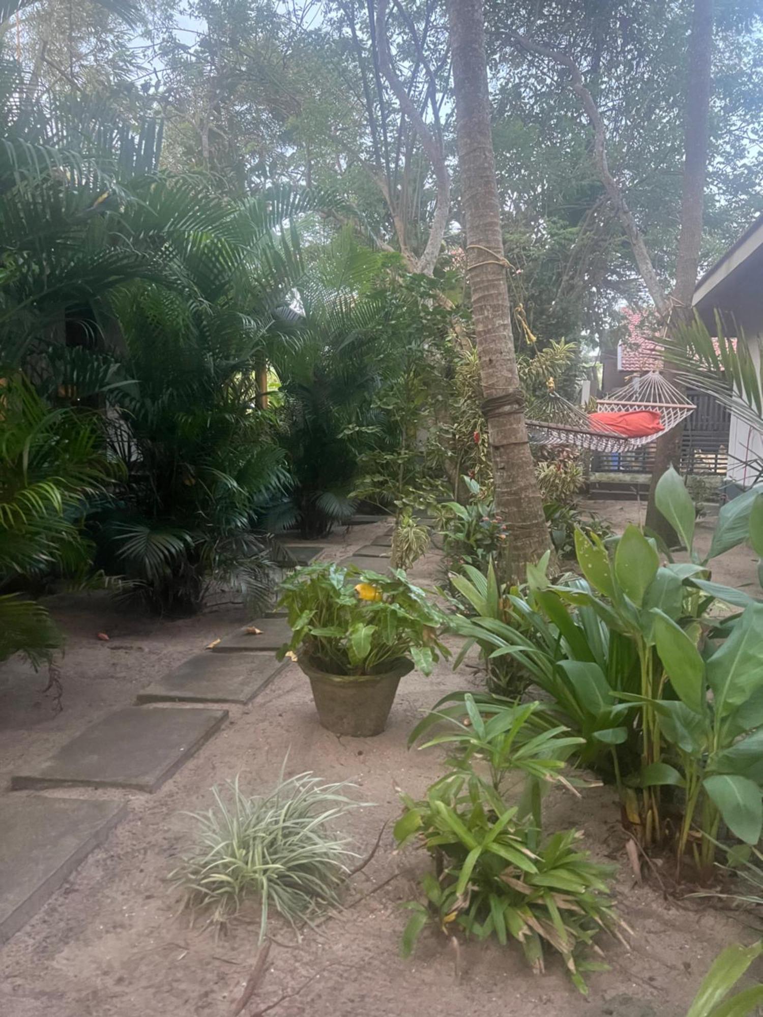 Alleppey Beach Garden Alappuzha Exterior photo